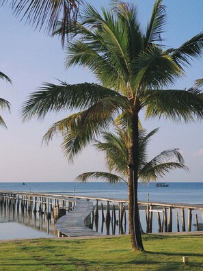 A wooden pier extending into calm water, surrounded by grass and palm trees under a clear sky. - Lotus Home (Phu Quoc)