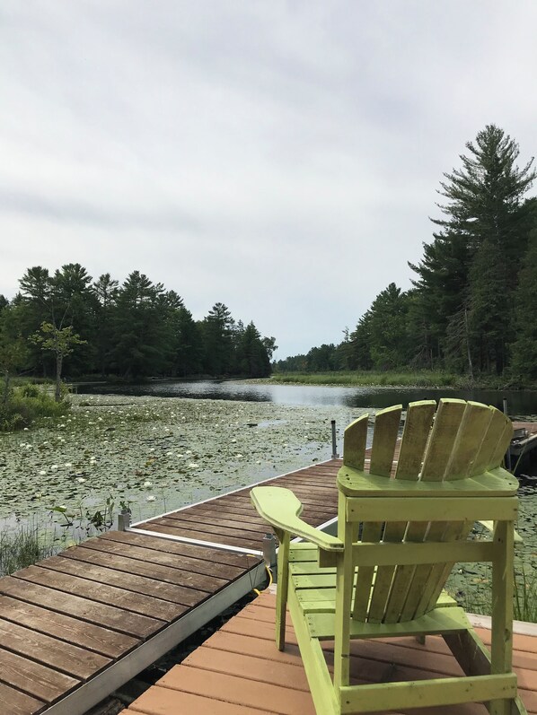 Property grounds - Updated Riverfront Cottage with Lake Access & StarLink, for Recreationalists! (Havelock)