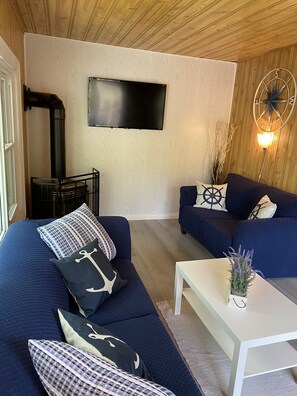 Smart TV, fireplace, video games, music library