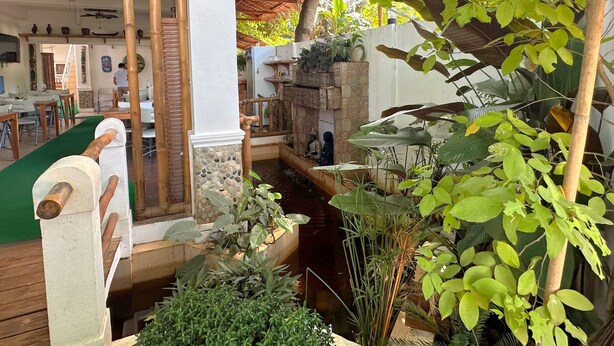 Un espacio exterior tranquilo con un pequeño elemento acuático, estructuras de bambú y abundante vegetación.