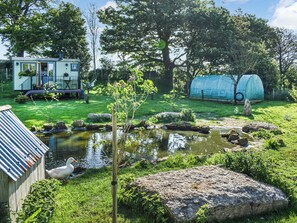 A pond with a duck, a small shed, a greenhouse, and a large rock.