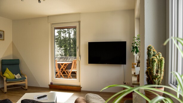 Ein Wohnzimmer mit Fernseher, einer Couch, einem Sessel, einem Tisch und einer Topfpflanze.