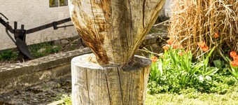 Holiday Apartment "Am Hohlebach" with Balcony & Wi-Fi