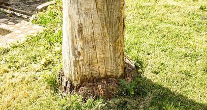 Ferienwohnung "Am Hohlebach" mit Balkon und WLAN