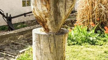 Enceinte de lâhĂ©bergement