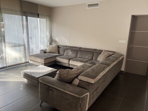 Televisión, reproductor de DVD y tenis de mesa