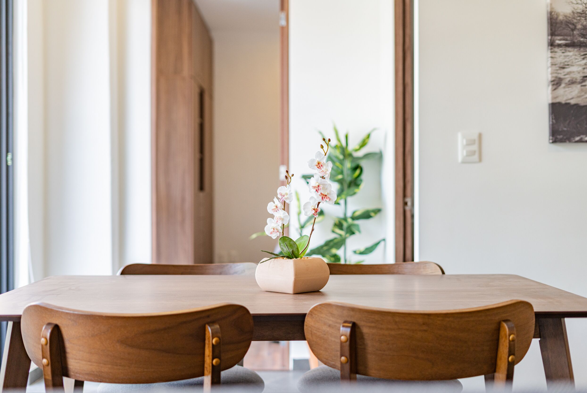 Departamento Deluxe | Comedor