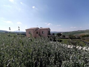 Exterior - AGRITURISMO SAN NICOLINO (Offida)