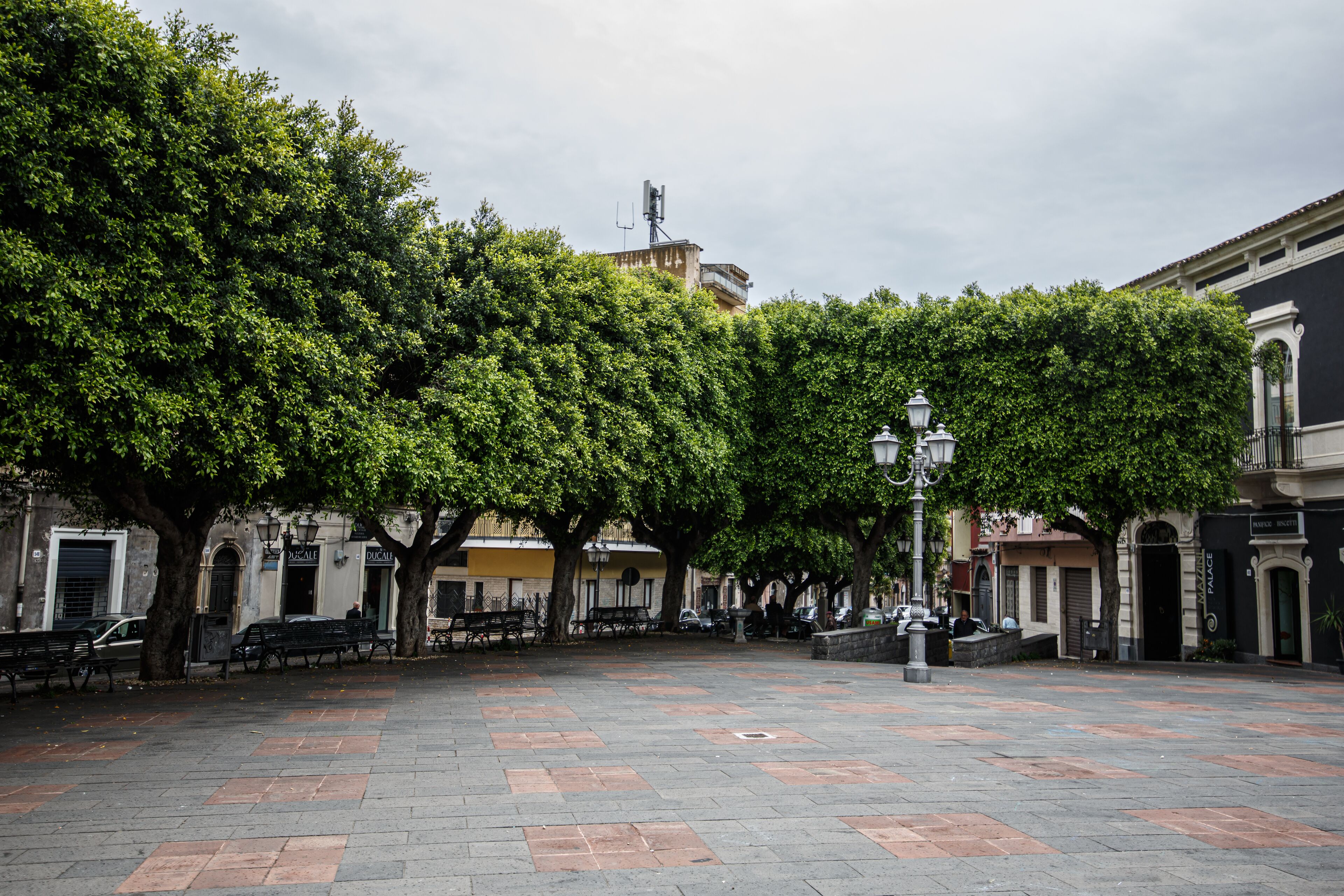 A spacious courtyard with a paved floor, benches, and trees.