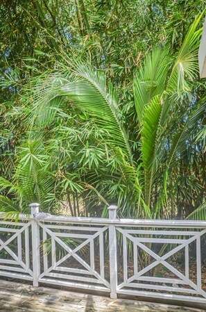 Casa familiar | Terraza o patio