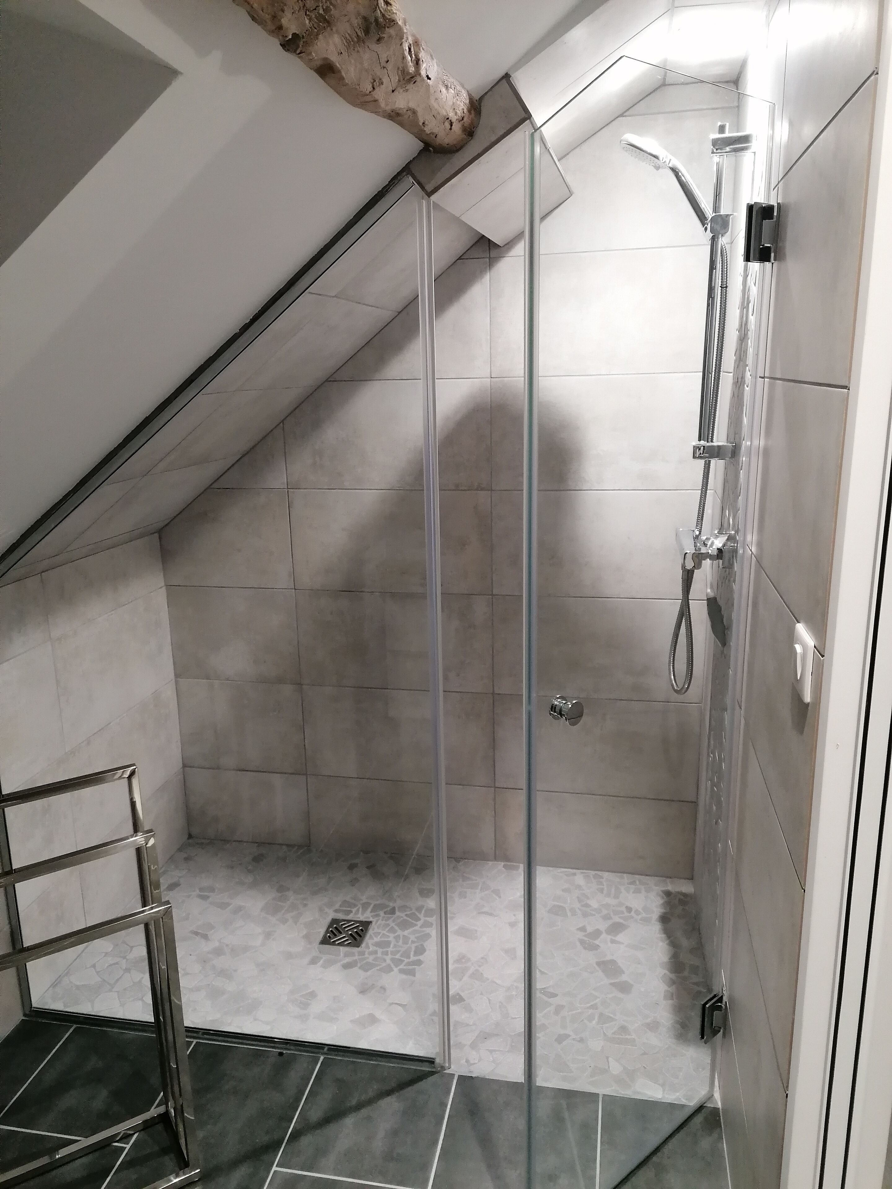 Shower, hair dryer, soap, toilet paper