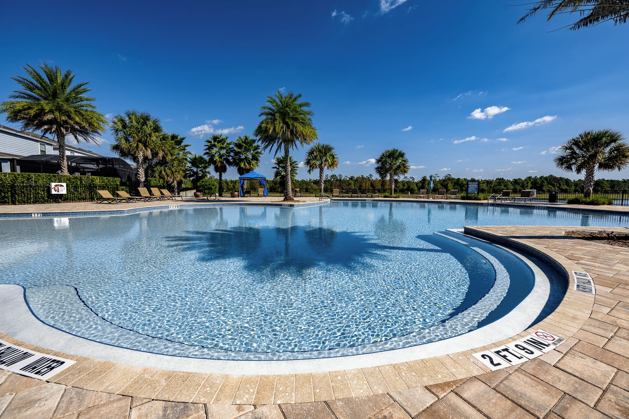 A swimming pool with a 2ft, 9in depth marker, surrounded by palm trees and lounge chairs.