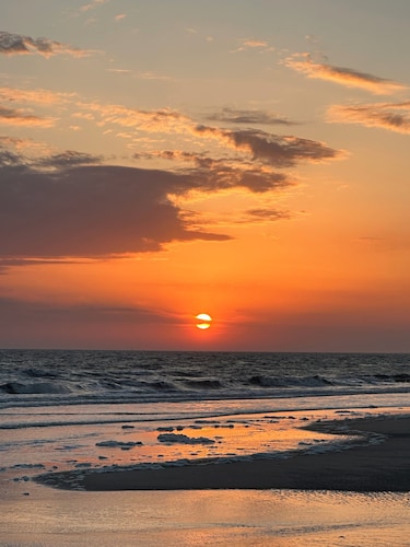 Cockle - small but beautiful