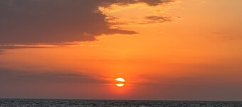 Cockle - small but beautiful