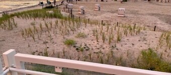 !!!neu!!! Bungalow Juist in Norddeich 150 m vom Strand