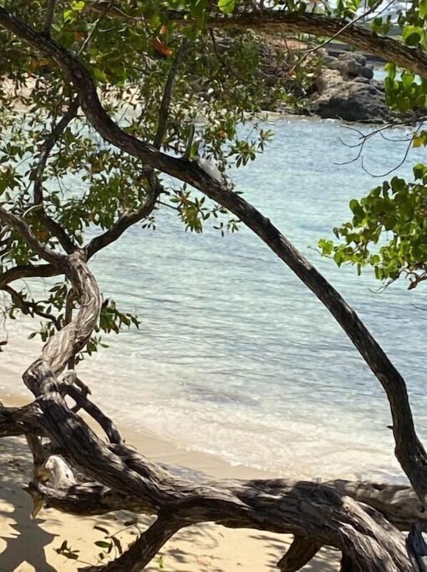 Playa en los alrededores 