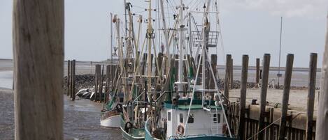 Une rangée de bateaux de pêche était amarrée à un quai dont les piliers étaient en bois.