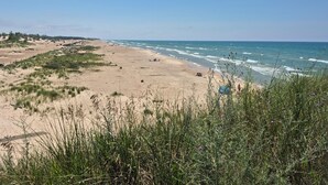 Una playa con dunas y vegetación escasa.
