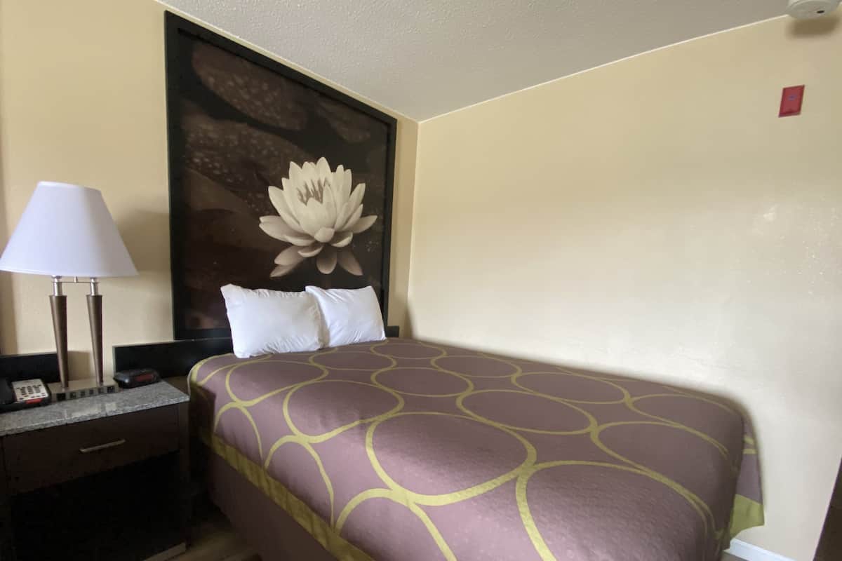 Habitación individual básica | Wifi gratis