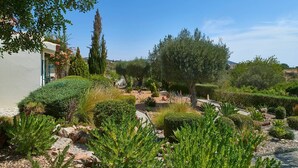 Un jardín ajardinado con diversas plantas y árboles, un sendero y un edificio al fondo.
