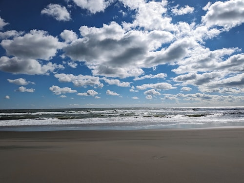 The Salty Seahorse!4x4 beach, private dock, hot tub, pool, Horses. Pet-Friendly