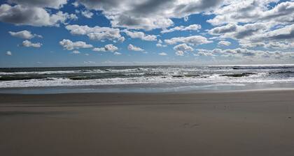 The Salty Seahorse!4x4 beach, private dock, hot tub, pool, Horses. Pet-Friendly