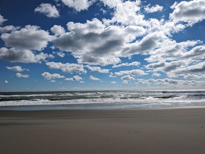 The Salty Seahorse!4x4 beach, private dock, hot tub, pool, Horses. Pet-Friendly