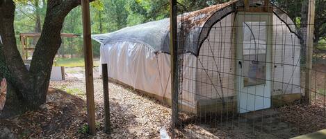A greenhouse with a wooden frame and a mesh roof, surrounded by trees and a leaf-covered ground.