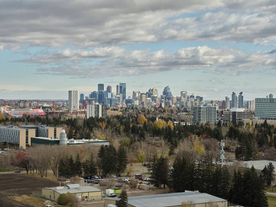 A city skyline with modern buildings and a dense forest in the foreground.