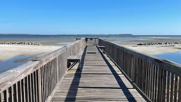 Ligstoelen aan het strand, strandlakens