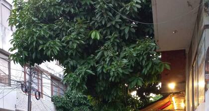 Mejor Apartamento Central Melgar