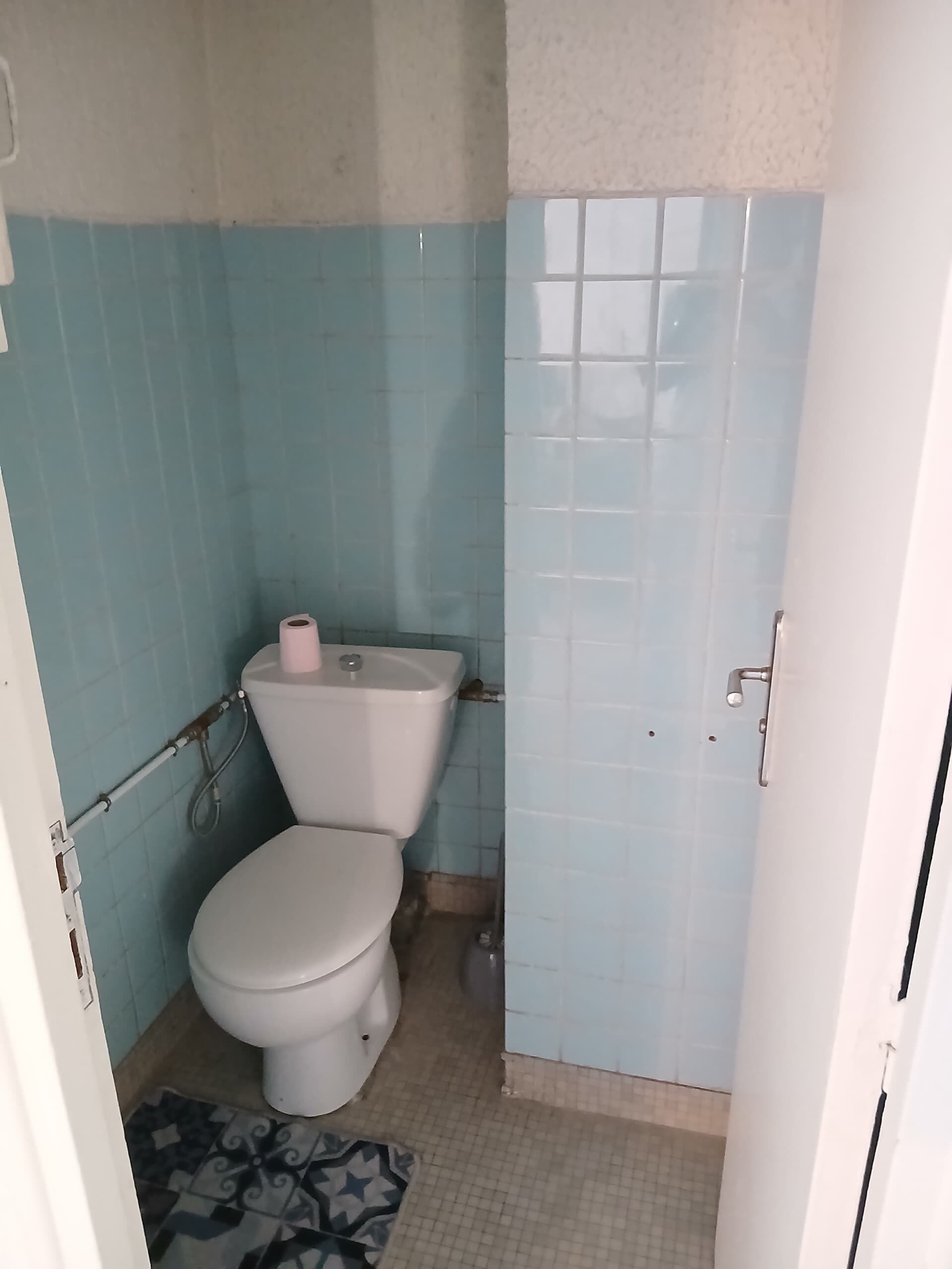 A small bathroom with a toilet, a roll of toilet paper, and a patterned rug on the floor.