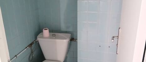 A small bathroom with a toilet, a roll of toilet paper, and a patterned rug on the floor.