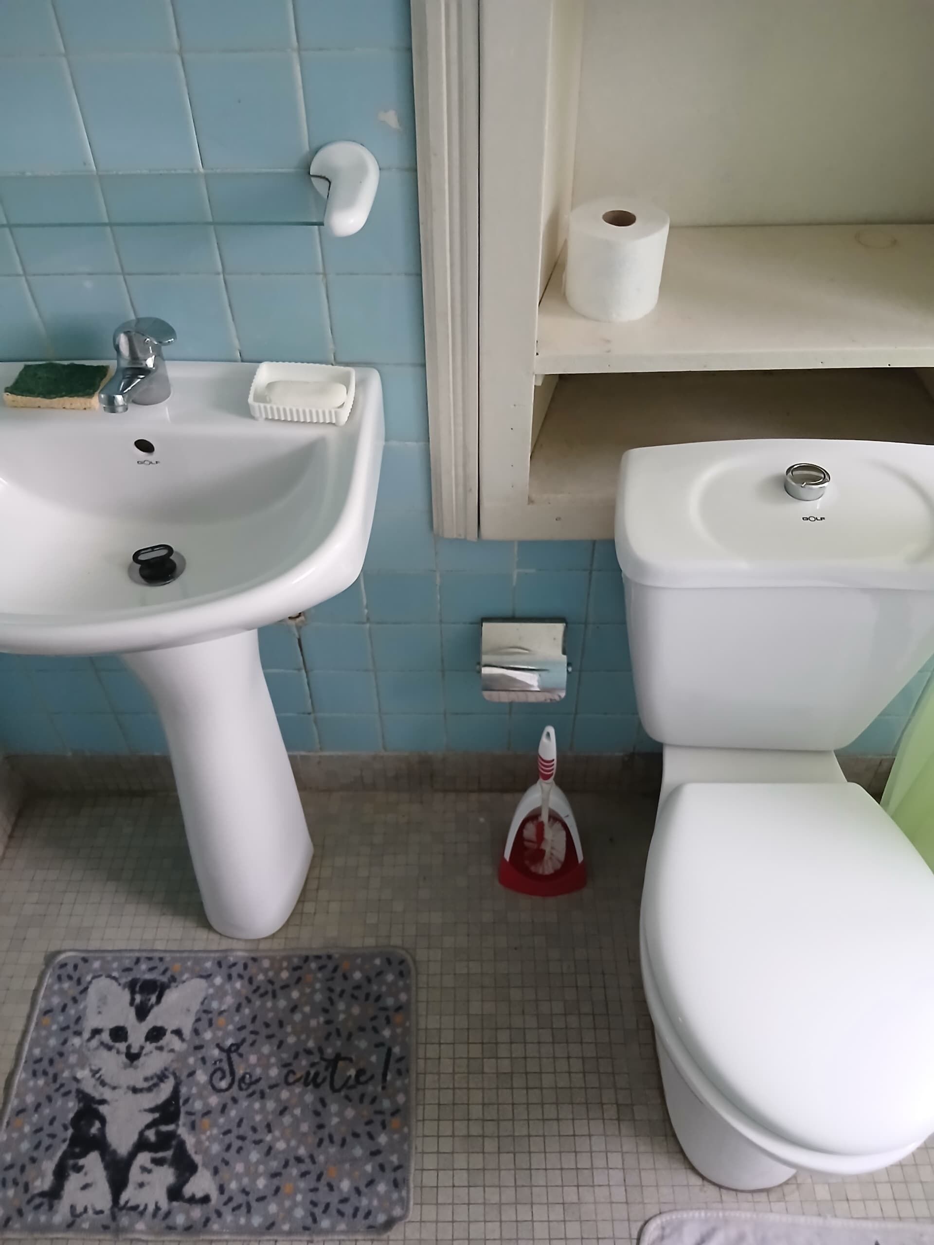 A bathroom with a sink, toilet, and a small rug with a cat design.