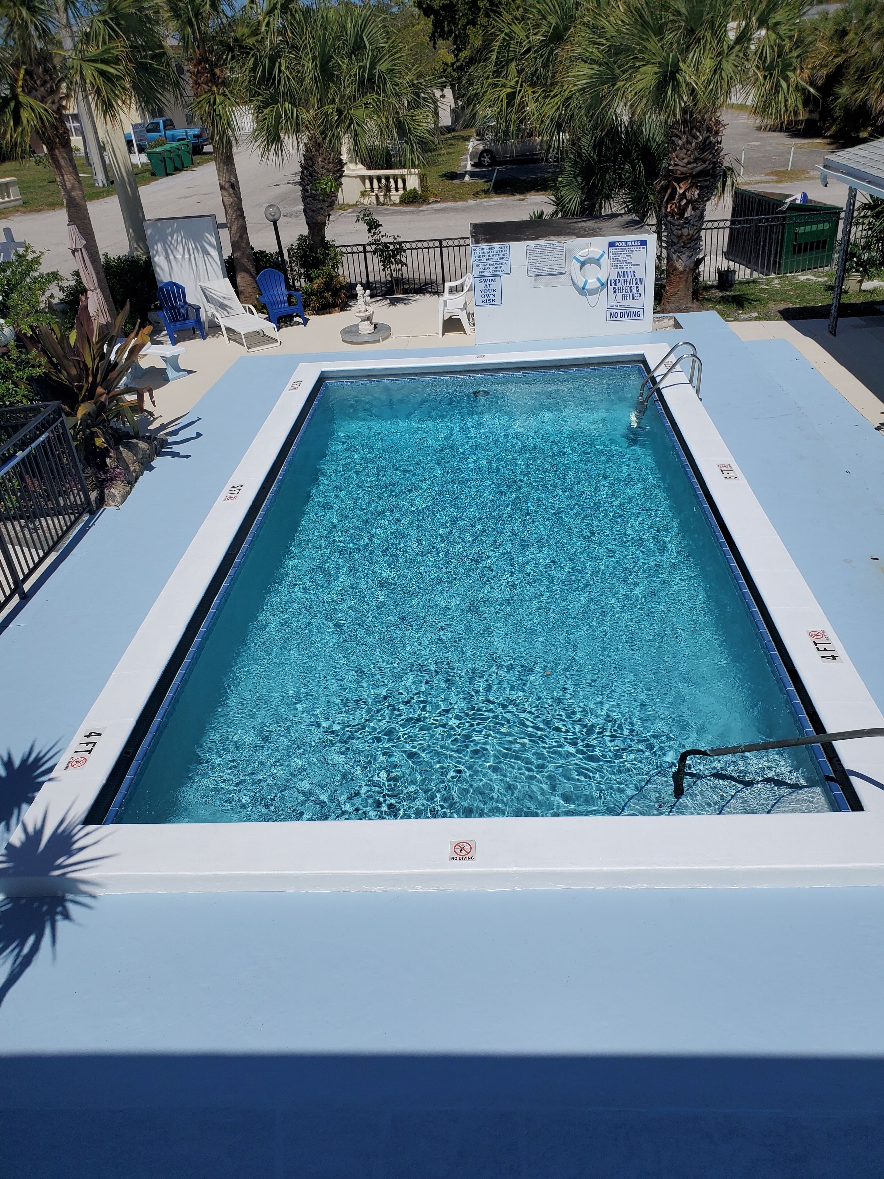 A rectangular pool with clear blue water, surrounded by palm trees and a white deck.