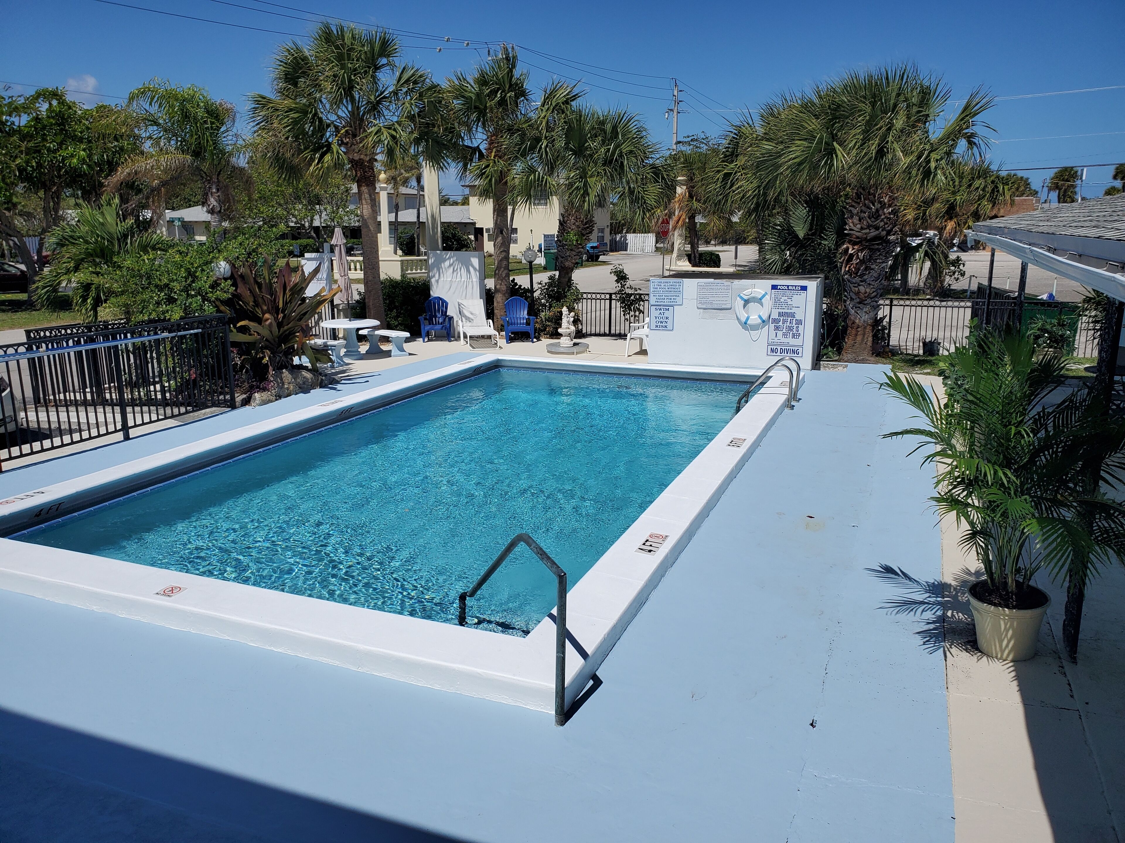 A rectangular swimming pool with a white deck, surrounded by palm trees and a fence.