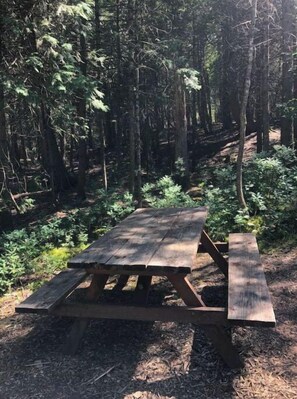 Outdoor dining - Tiki Tent- A (St. Ignace)