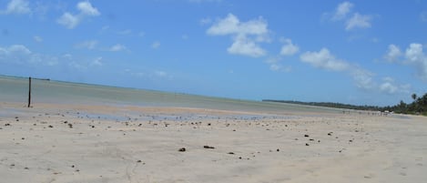 Playa en los alrededores, playa de arena blanca y 4 bares en la playa