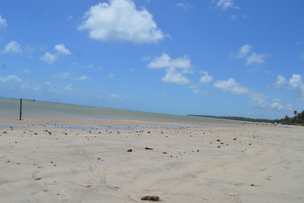 Ubicación cercana a la playa, arena blanca y 4 bares en la playa