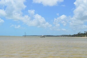 靠近海滩、白沙、4 间海滩酒吧