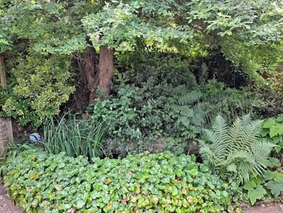 Pilgrims of the Goddess - Cabin