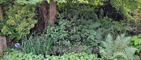 Overnatningsstedets område