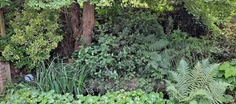 Pilgrims of the Goddess - Room 7