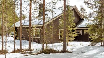 Eine Holzhütte, umgeben von hoch aufragenden Kiefern mit schneebedecktem Boden.