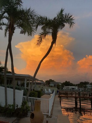 Terrace/patio - Delma's Waterfront Oasis With Panoramic Open Water View!! PARADISE FOUND (St. Petersburg)