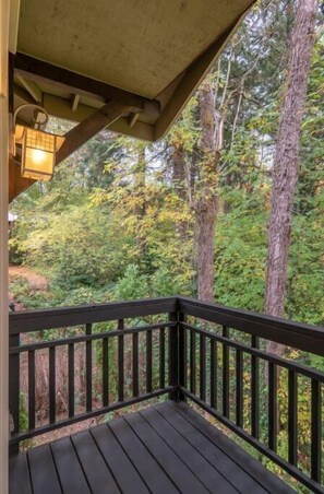 Property grounds - Granny Flat in leafy SW Portland (Portland)