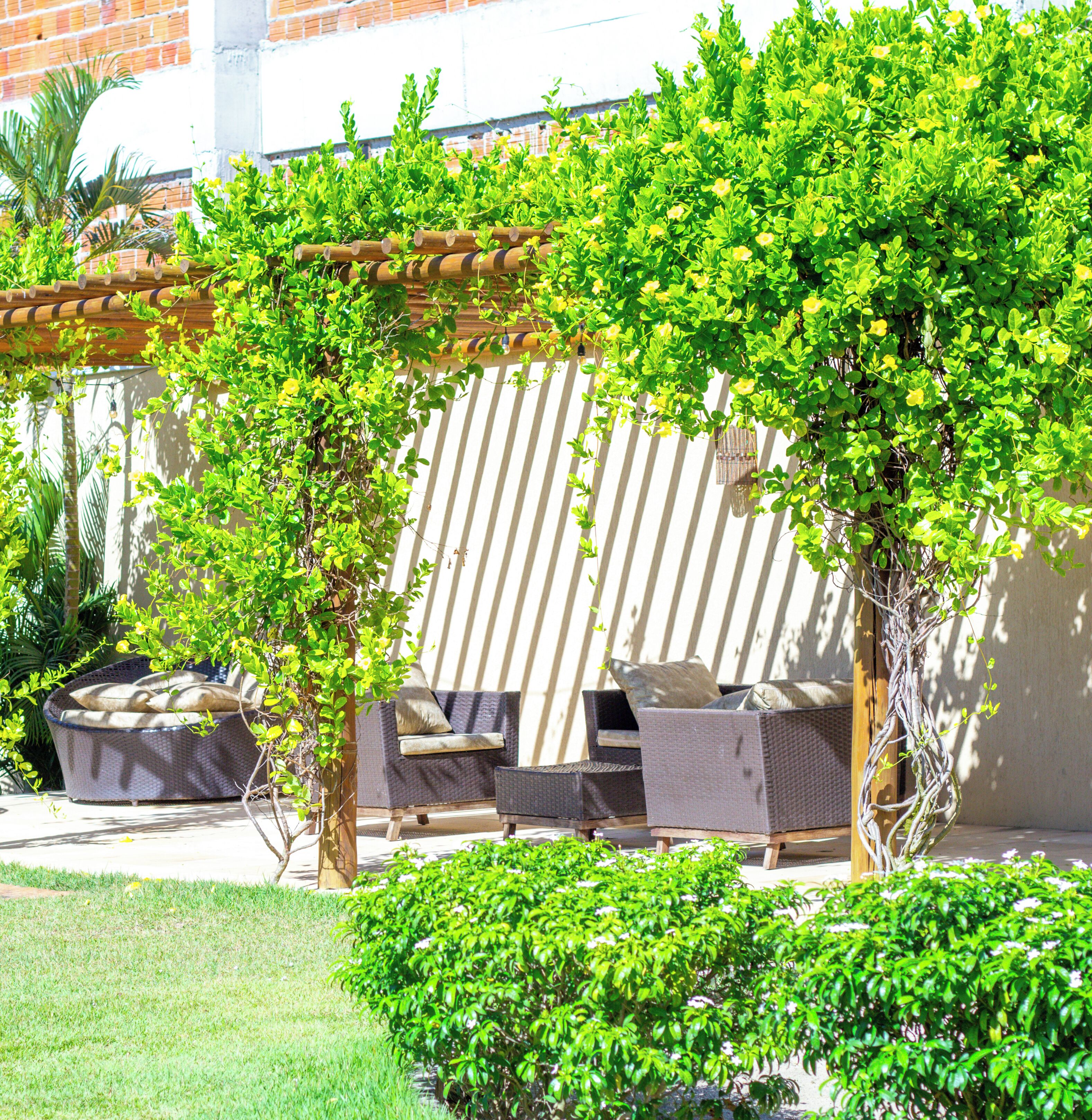 A patio area with outdoor furniture, a pergola, and lush greenery.
