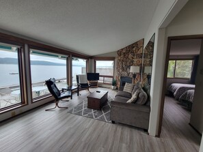 Smart TV, fireplace, books