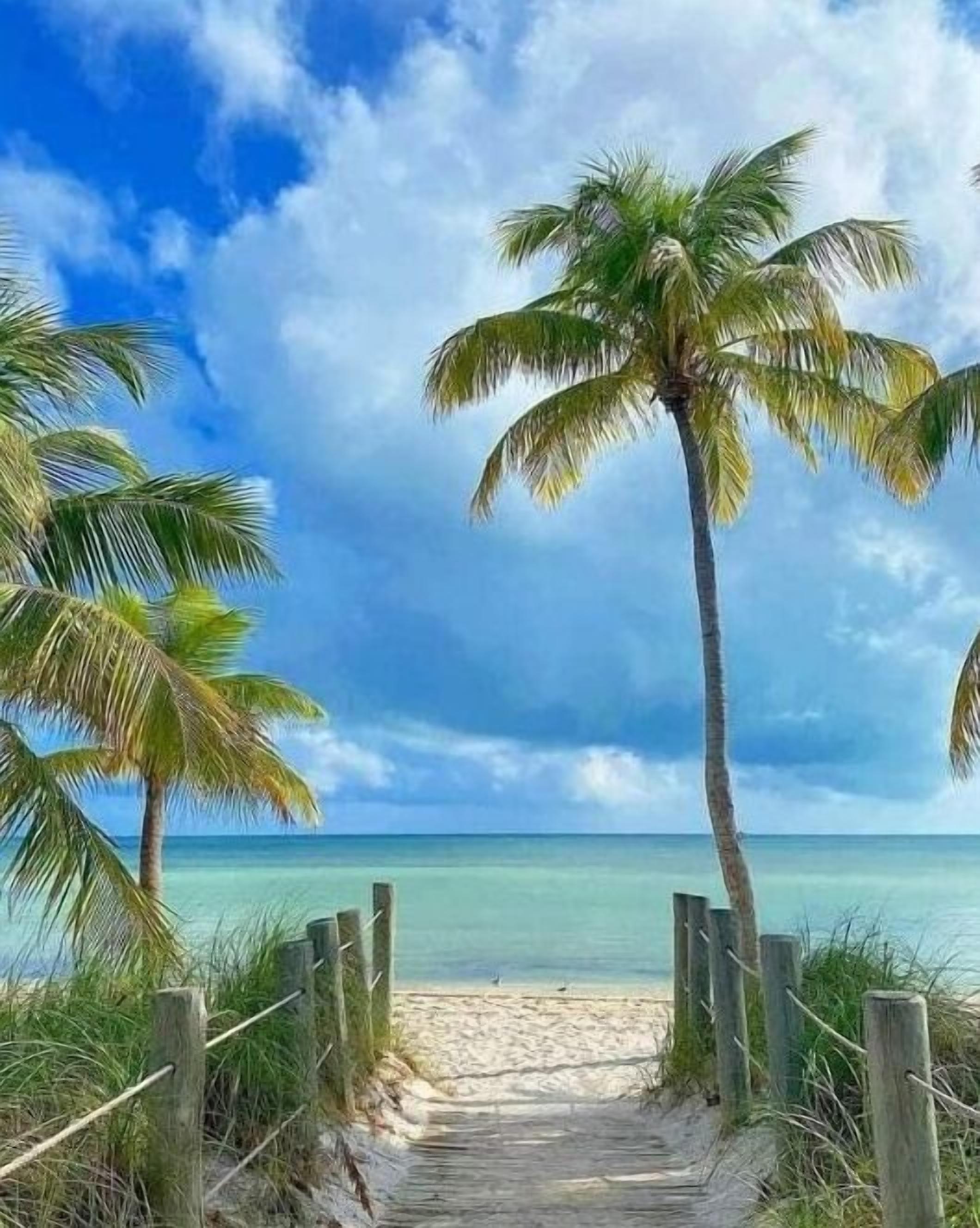 Sun loungers, beach towels