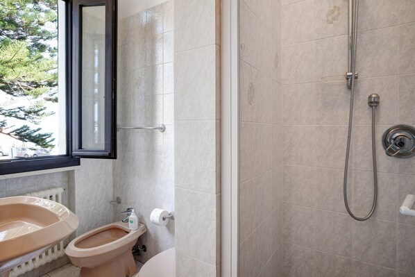 A bathroom with a toilet, bidet, and a shower area.